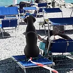 Fornaci 2* Peschiera del Garda