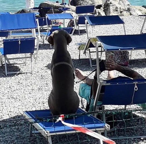 Fornaci 2* Peschiera del Garda