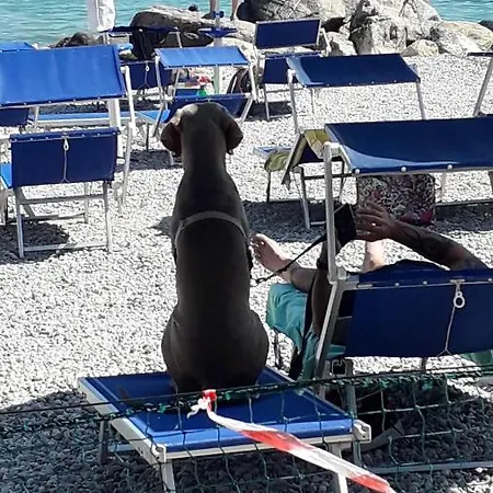 Fornaci 2* ペスキエーラ・デル・ガルダ